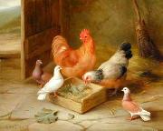 poultry  141